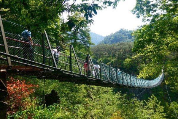 【新聞】不只有楓葉！來趟奧萬大體驗「原味小旅行」