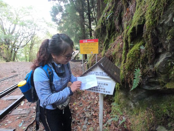 2023尋訪消失的眠月線聚焦失落沉寂的百年鐵道之旅2109670