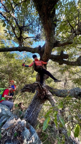 【谷關七雄】波津加(H1771.6m)肉腳配速成功2670567