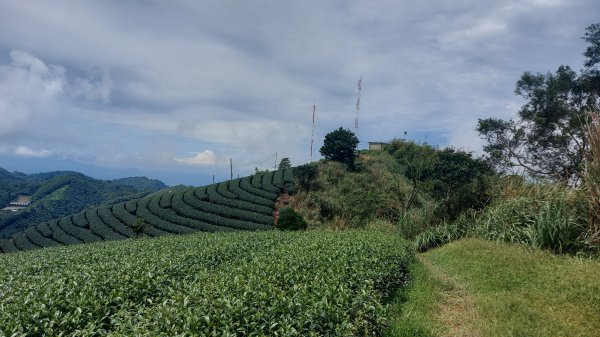 雲嘉九連峰1438960