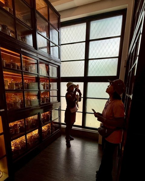 雨天備案💙 台灣博物館的古生代館-台大動植物館免費參觀-北投♨️季2808839