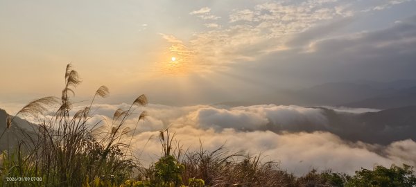 #翡翠水庫壩頂 #雲海 #日出 #陽明公園 #夕陽1/92979372