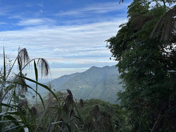 竹崎十三連峰 (阿里山四大天王越野賽路線)1932688