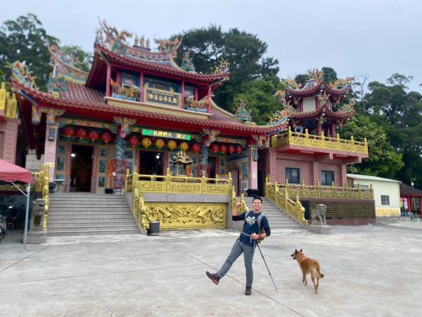 田中森林步道.赤水崎步道.龍過脈步道【都是友善石虎的好地方!!】2766691