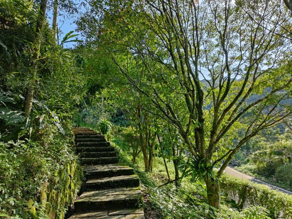 2023.12.08 土庫岳2695274