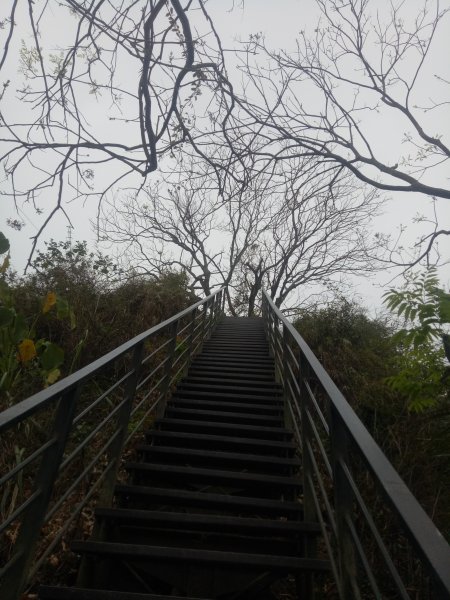 龍過脈步道+小百岳橫山1867001