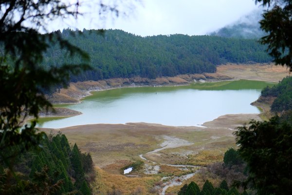 少了濃霧的翠峰湖環山步道805860