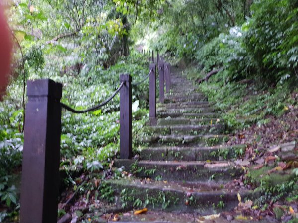 銀河洞步道上貓空1572825