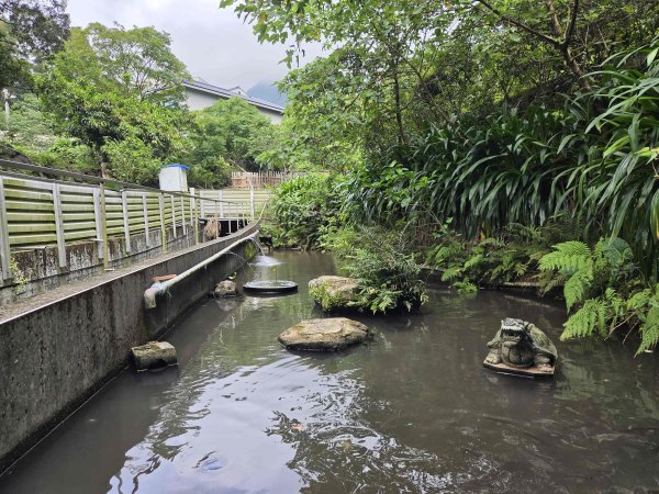 20260522淡水南瓜隧道-下奎柔百合花園-錦繡莊文化園區3062862