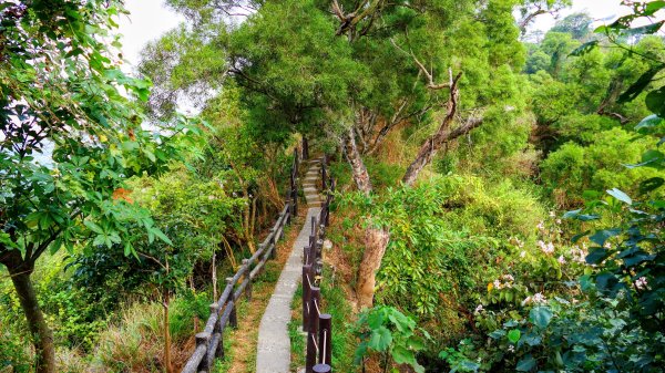 大社觀音山2954773