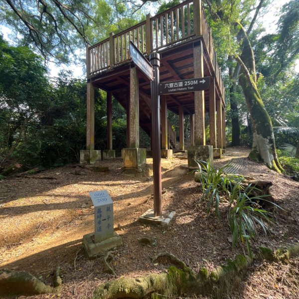 20231030_六寮古道、寶山水庫環湖步道2762933