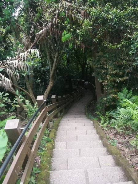 小百岳013號～南港山，幾乎整路爬樓梯，不怕樓梯者限定1348557