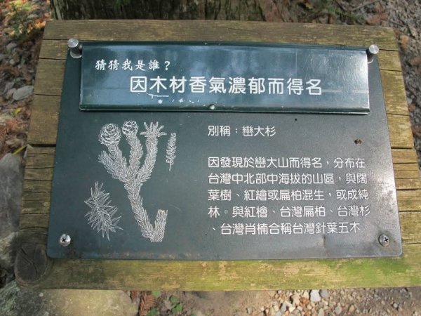 1010325八仙山森林遊樂區3098062