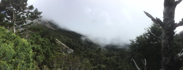 20221107南橫關山嶺山溪頭山O型1910605