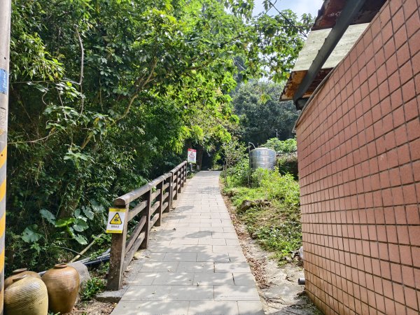 [百山百鳥尋旅-15/15] 2025_0929 硬漢嶺步道(觀音山)2900985