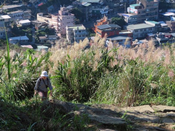 基隆山744516