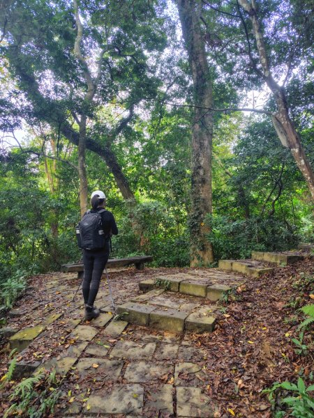 鳳鳴古道 鳳鳴山 南隘勇（南長城）古道 三湖山 八達嶺（龍骨）古道 綠色古道 延平古道2975209
