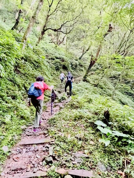 🌈7/5（日）東滿縱走（東眼山~滿月圓）FB：熊熊趴爬走(富裕登山社)🌈3082879