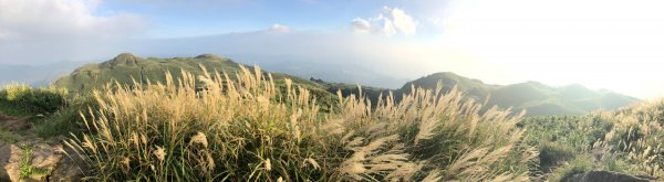 20180930 台北七星山與東峰547411