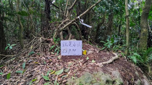 臺北大縱走第四段1566223