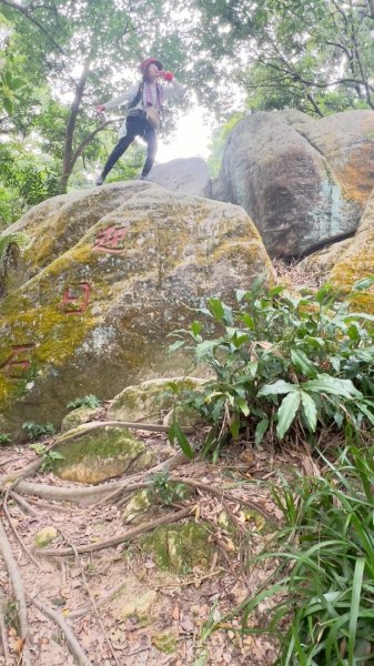 圓通寺烘爐地登山步道大O走3007141