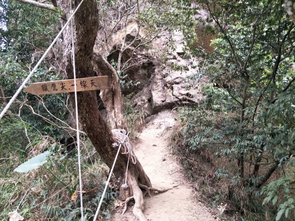 台南三景：獵鹰岩一線天1294532