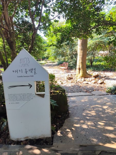 韓國濟州島：山茶花之丘2912452