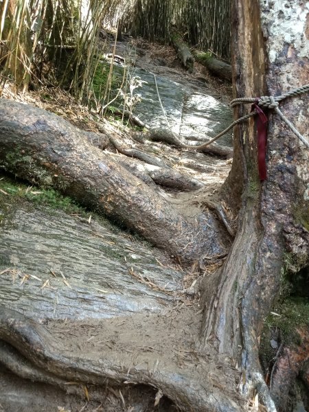 合歡西峰單攻1216983