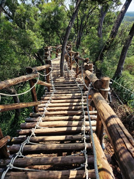 犁頭山、文山步道-2025森遊竹縣皮皮獅探險隊2890087