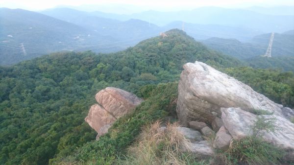 五指山古道O走-友蚋山-新山夢湖178484