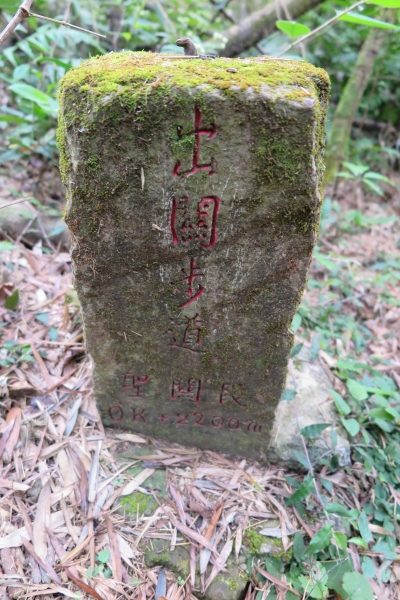 苗栗關刀山（小百岳）80129