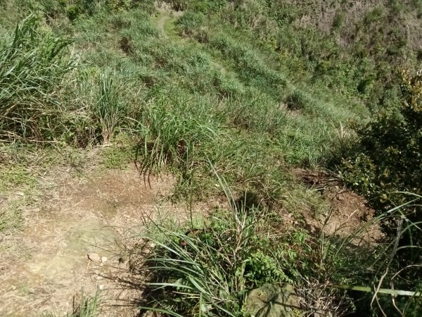 雙溪區不厭亭+牡丹山+樹梅坪+鷹石岩山神廟+不厭亭+奉憲示禁碑+三貂崙+不厭亭8字走2766238