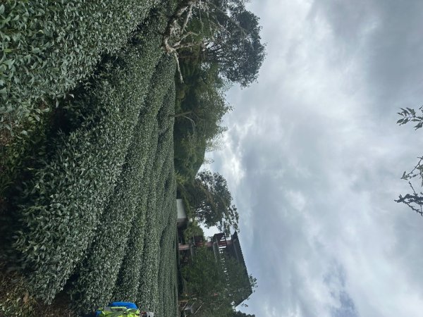 南投小半天七連峰3094609