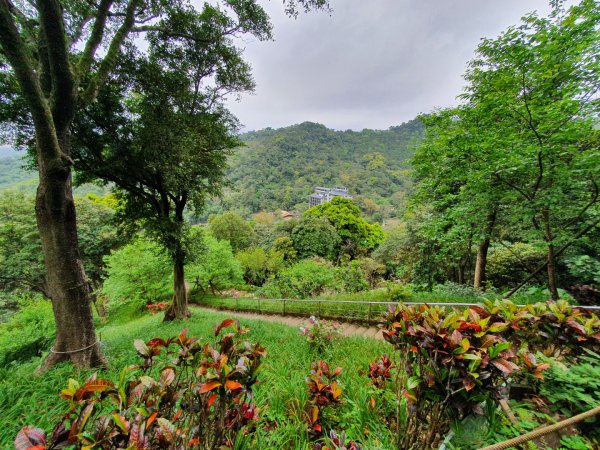 土城牛埔頭山，中和國旗嶺，鄧公嶺，長壽山，白馬寺，羊稠森林步道1651340