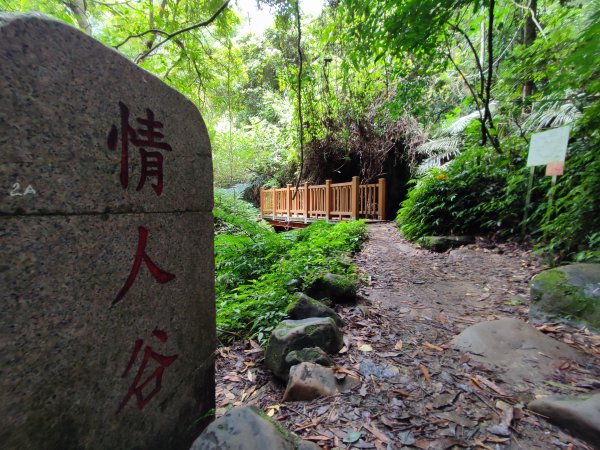 鳴鳳古道南隘勇(南長城)古道O行走1753325