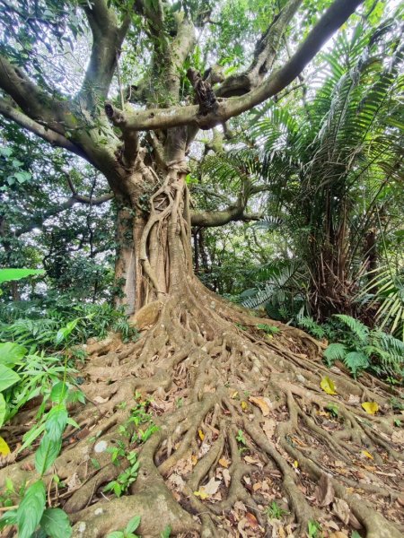 2026台北大縱走3014243