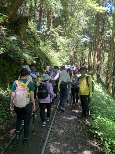 20250517義義兒玉山-東水山2791628