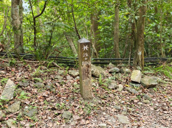 [淡蘭古道] 2026_0524 南路第五段_跑馬古道(下)-玉龍居3070181