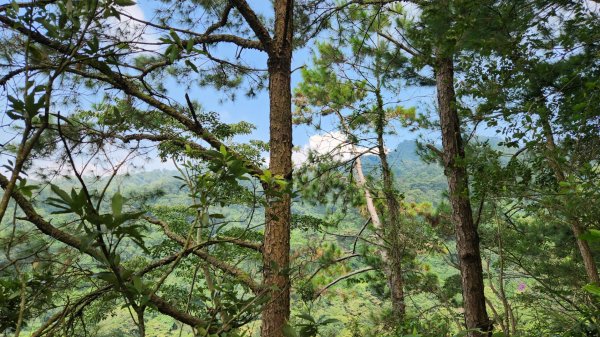 郡大山，郡大山北峰，望鄉山，白冷山，頭嵙山，黑山北峰，大坑4號，大坑3號，挑水古道，快官健行步道2299198