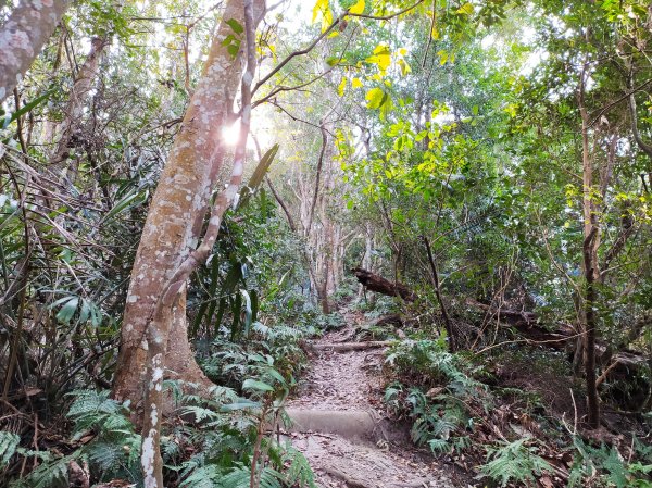 水雲三星之老二  鳥嘴山(上島山)1253715