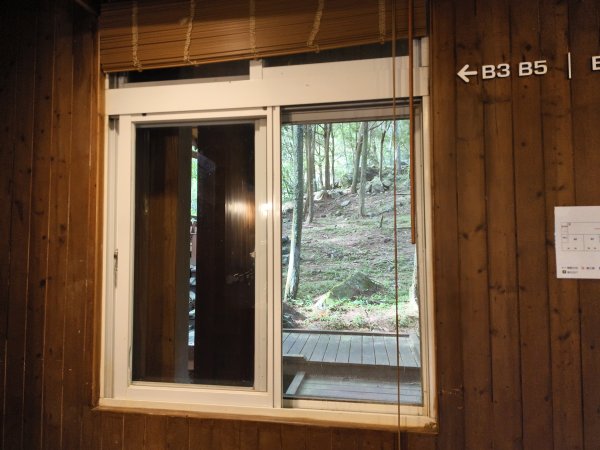 [百山百鳥尋旅-07/15] 2025_0831 八仙山國家森林遊樂區步道群2875954