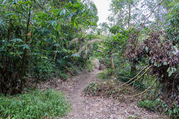 [台南]崁頭山2848476