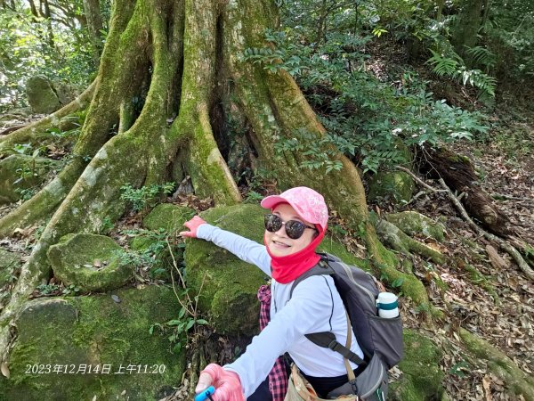 新竹尖石蓮包山+鴛鴦谷鰻潭瀑布O型走2379107