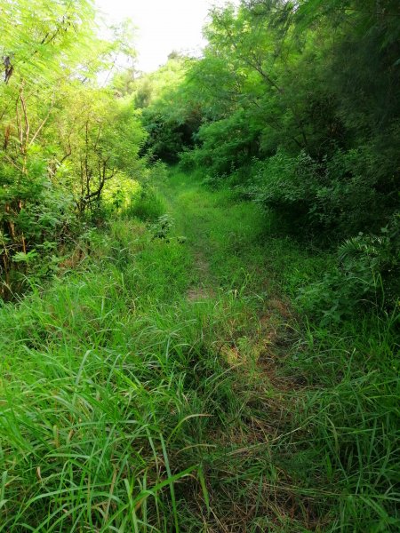 屏東恆春~兩個女生的探險記小百岳大山母山1156873