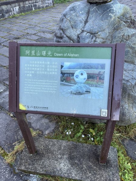 20251225塔山步道(大塔山)2970248