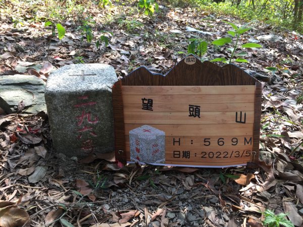 20220305高雄望頭山1633599