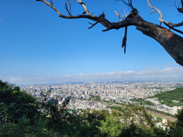 小百岳No.42⛰南觀音山2924866