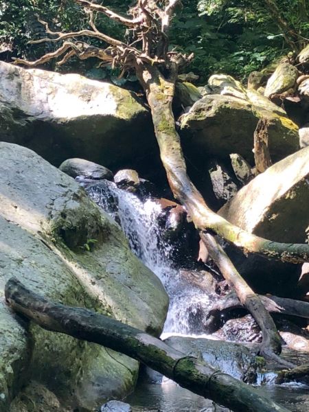 三峽雲森瀑布386456