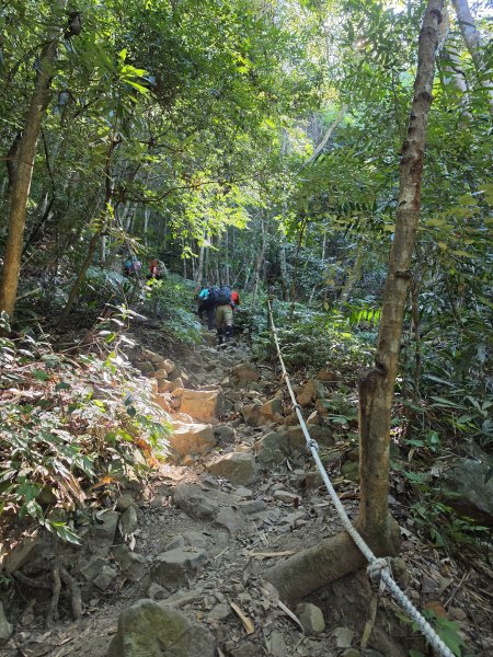 谷關七雄｜白毛山3131401