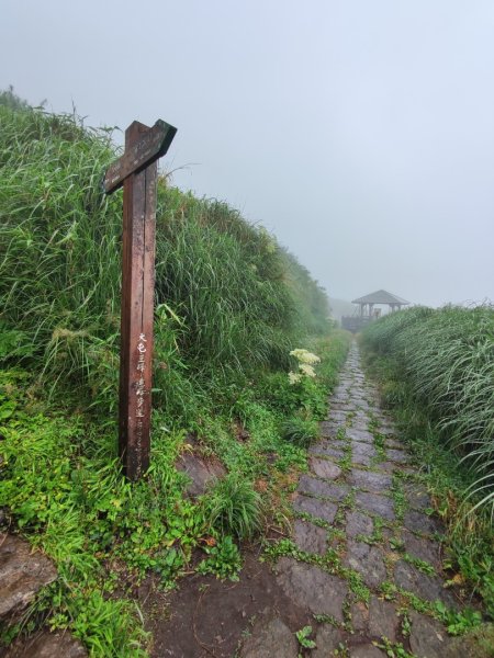 大屯主峰二子坪O型縱走2511221